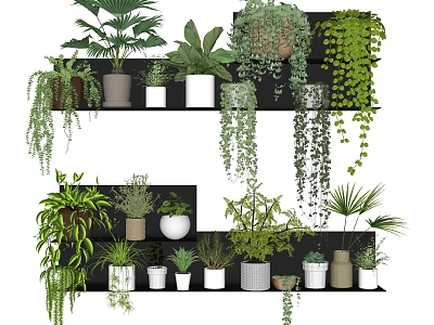 Indoor Potted Plants Display On Multi Tiered Shelves With Various Green Foliage 3d model