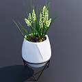 Bonsai Potted Plant In White Geometric Pot With Black Metal Stand And White Flowers
