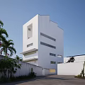 Sleek Modern White Residential Building with Large Windows Palm Trees Cacti and Driveway Surroundings