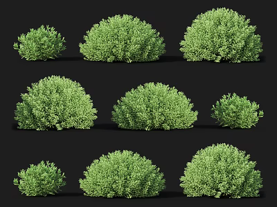 Green Shrubs In Various Sizes And Shapes For Garden Landscaping Use 3d model