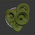 Green Potted Plant with Lily Pad Like Leaves in Light Blue Ribbed Pot