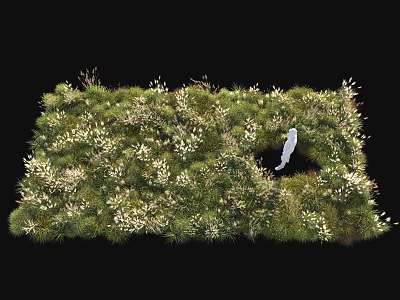 Lush Green Shrubs With White Flowers Enhancing Outdoor Garden Landscape Design 3d model