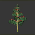 Lush Coffee Plant With Green Leaves And Red Berries On Yellow Stem