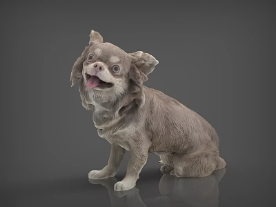 Realistic Chihuahua Dog Sculpture Sitting With Tongue Out On Gray Background 3d model