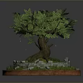 Potted Tree With Exposed Roots Green Foliage Grass Stone Surround And Circular Red Border