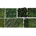 Diverse Living Plant Wall Designs With Varied Greenery For Indoor Outdoor Spaces