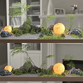 Mini Garden Decor With Fern Plants Decorative Stones Round Lights Gravel And Wooden Tray