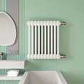 White Wall Mounted Radiator In Modern Bathroom With Light Green Wall 3d model