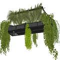 Indoor Hanging Basket With Lush Trailing Green Plants And Foliage Decor