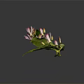 Green Leaf Plant With Pink Spotted Flowers And Flower Buds