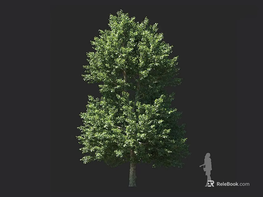 Tall Arbor With Lush Green Foliage And Human Silhouette Against Dark Background 3d model 