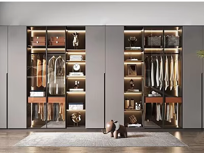 Modern Luxury Wardrobe With Glass Doors Built in Shelves Hanging Rods And LED Lighting 3d model