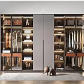 Modern Luxury Wardrobe With Glass Doors Built in Shelves Hanging Rods And LED Lighting