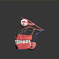 Detailed Anatomical Organ 3D Model with Eyeballs Teeth and Colorful Nerve Fibers