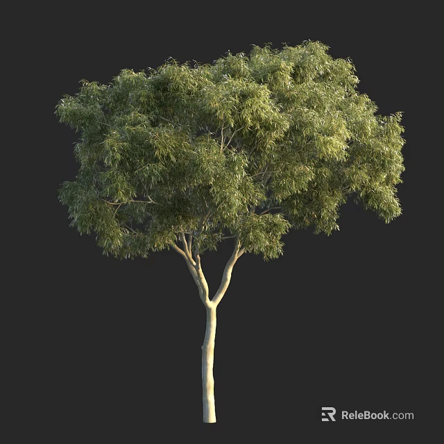 Lush Green Arbor With Dense Foliage And Straight Trunk Against Black Background 3d model 