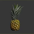 Fresh Ripe Pineapple With Green Leaves And Yellow Skin On Dark Background