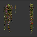 Hanging Plants With Green Leaves And Purple Red Small Flowers On Slender Stems White Background