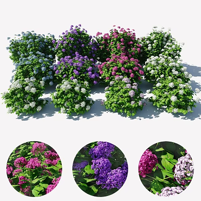 Colorful Flower Bushes With Purple Pink White Blue Blooms And Green Leaves For Garden Decor 3d model