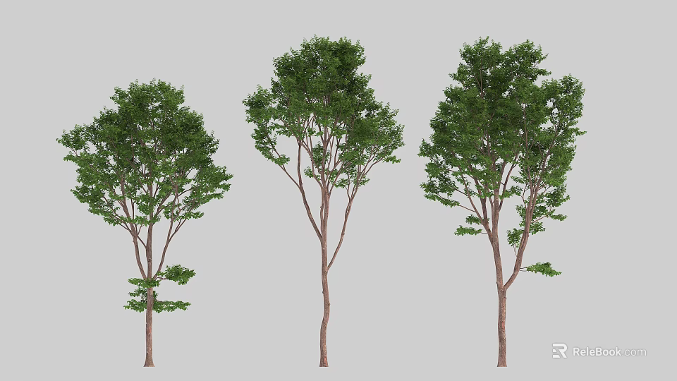 Three Arbor Trees with Green Foliage and Brown Trunks in Different Sizes 3d model