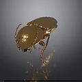 Golden Beetle Featuring Shiny Metallic Texture Detailed Body Structure and Glossy Finish