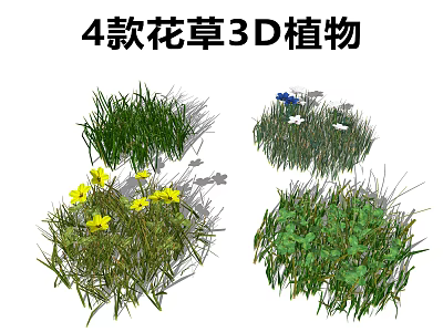 Four Types of Ground Cover 3D Plants with Grass Yellow Flowers and Green Foliage 3d model
