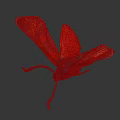Vibrant Red Winged Moth With Orange Spots And Dark Body On Dark Background
