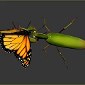Green Mantis Preying On Orange Black Butterfly With Reflection On Dark Surface 3d model