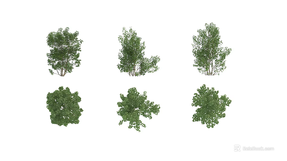 Various Green Shrubs With Different Shapes For Garden Landscape Design 3d model 