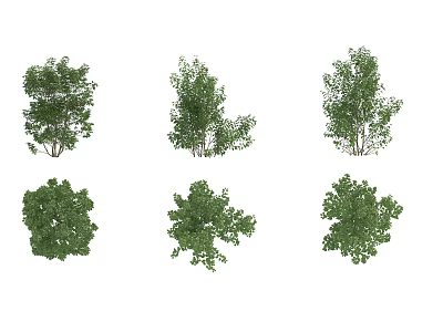 Various Green Shrubs With Different Shapes For Garden Landscape Design 3d model