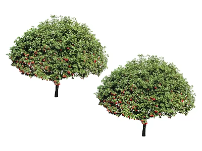 Two Lush Trees With Green Leaves And Red Fruits On Black Trunks 3d model