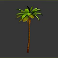 Green Palm Tree With Brown Trunk And Fresh Green Leaves On Gray Background