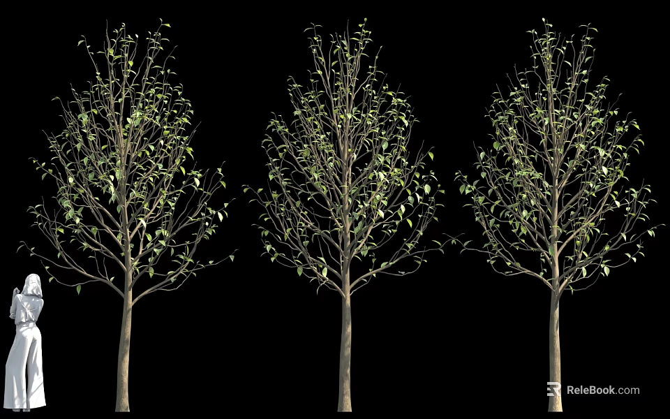 Three Trees With Green Leaves And Brown Trunks On Black Background 3d model 