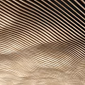 Modern Decorative Ceiling Design With Wavy Wooden Texture And Architectural Details