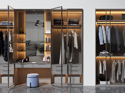 Modern Wardrobe Interior Design With Mirror Hanging Clothes Drawers And Lighting 3d model