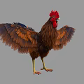 Brown Feathered Rooster with Red Comb Standing and Spreading Wings as Flying Animal