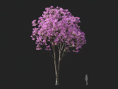 Tall Lush Arbor With Purple Flowers In Full Bloom And Human Silhouette 3d model
