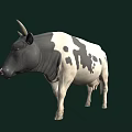 Realistic Black And White Cow With Horns Standing On Dark Background