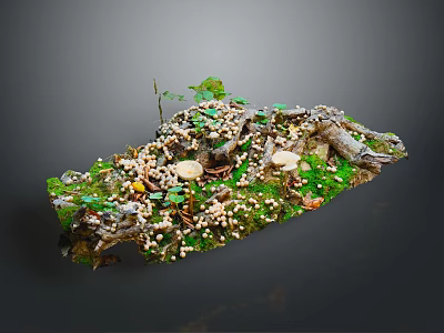 Miniature Plant Landscape With Green Moss Small Mushrooms Tree Roots And Green Leaves 3d model
