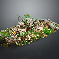 Miniature Plant Landscape With Green Moss Small Mushrooms Tree Roots And Green Leaves