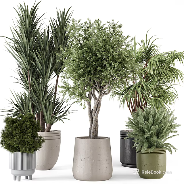 Various Decorative Potted Plants With Different Colored Pots And Green Foliage 3d model