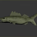 Detailed Green Fish 3D Model with Open Mouth and Fins on Dark Reflective Surface