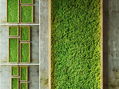 Natural Green Moss Wall Decor With Framed Design And Multiple Frames Layout 3d model