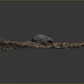 Natural Wooden Log Resting on Pebble Covered Oval Decorative Surface