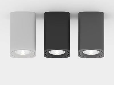 Modern Slim Downlights in White Black Dark Gray Ceiling Mounted with Illuminated Heads 3d model