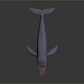 Blue Whale with Open Mouth Dorsal Fin and Pectoral Fins Against Dark Gradient Background