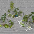 Traditional Zen Rock Garden Design With Raked Sand Stones And Green Plants