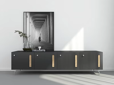 Modern Black TV Stand with Golden Handles Potted Plant Books and Black White Corridor Painting 3d model