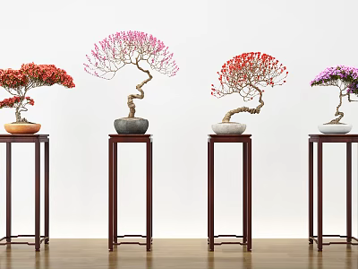 New Chinese Bonsai Storage Rack Bonsai Combination 3d model New Chinese Bonsai Storage Rack Bonsai Combination 3d model