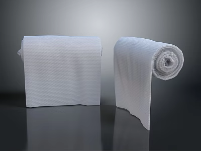 White Perforated Kitchen Towel Rolls With Texture For Household Daily Necessities 3d model