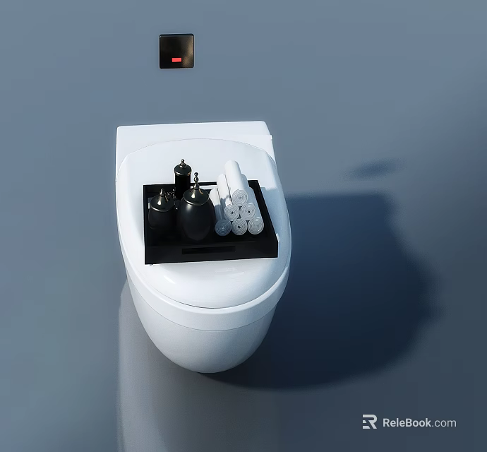 Swing Door For Modern Bathroom With White Toilet And Black Tray Accessories 3d model 